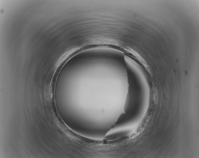 X0000084600885200703021622