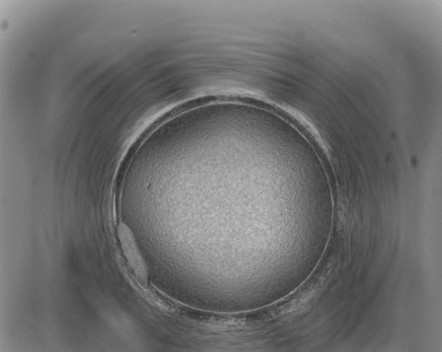 X0000084600887200703021622