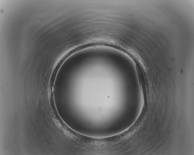 X0000084600888200703021622