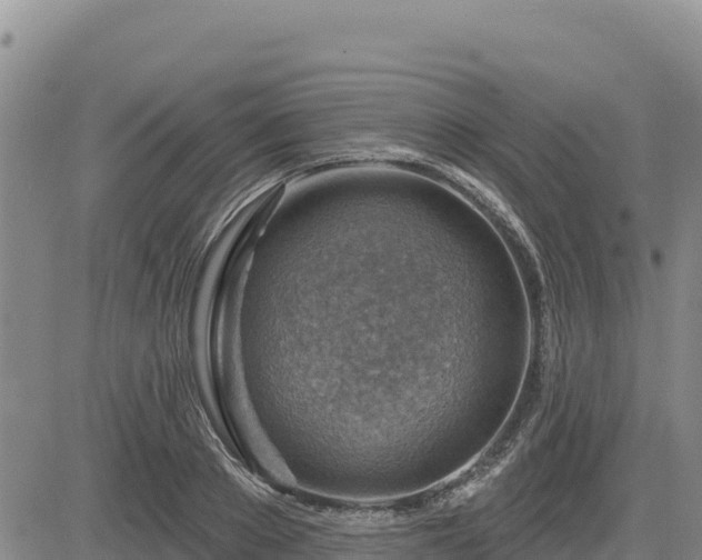 X0000084600889200703021622