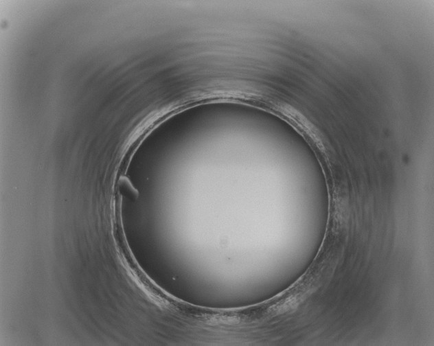 X0000084600890200703021622