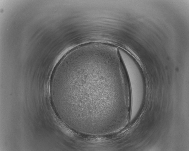 X0000084600891200703021622