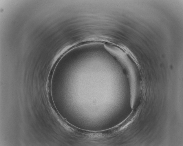 X0000084600893200703021622