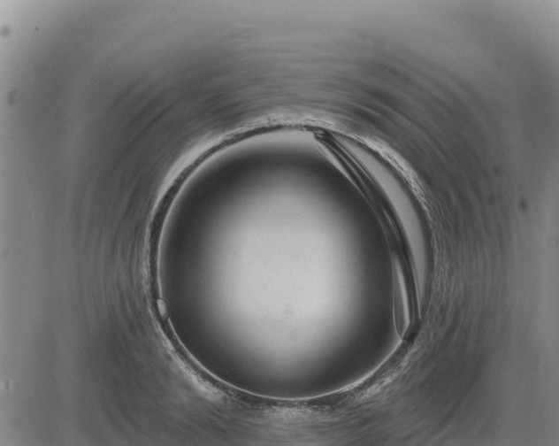 X0000084600894200703021622