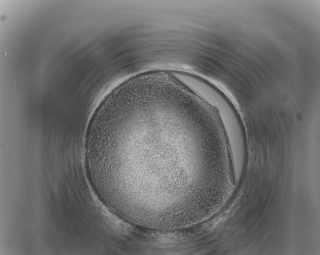 X0000084600895200703021622