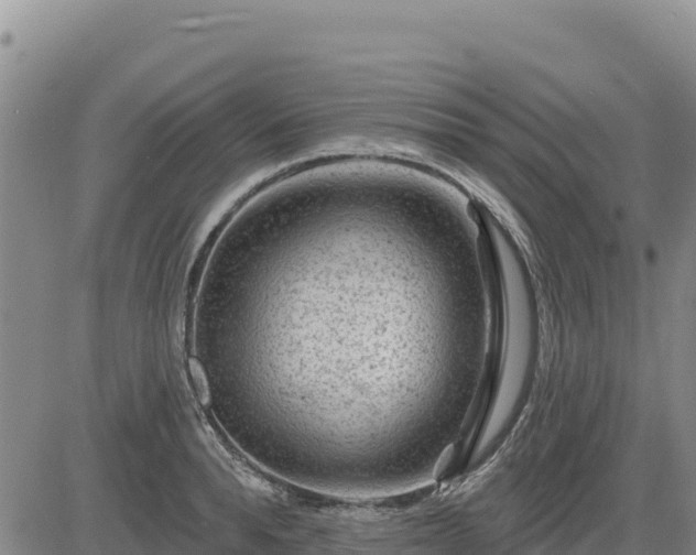 X0000084600896200703021622