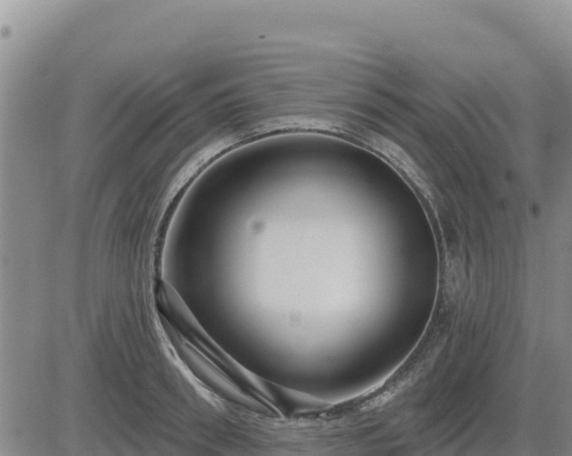 X0000084600898200703021622