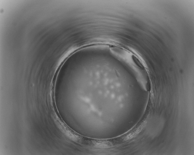 X0000084600899200703021622