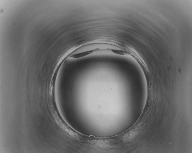 X0000084600900200703021622