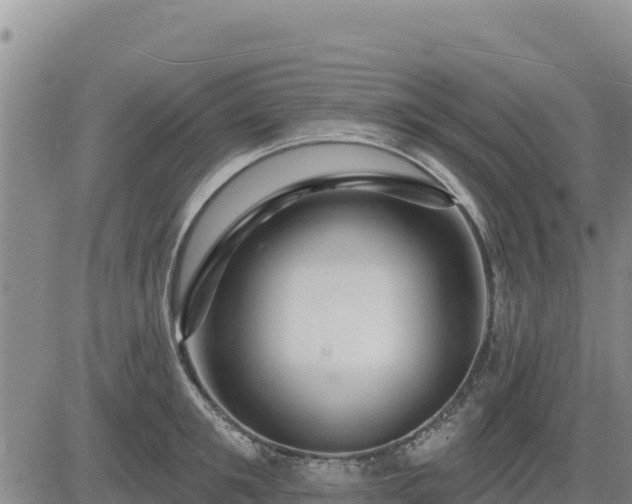 X0000084600901200703021622