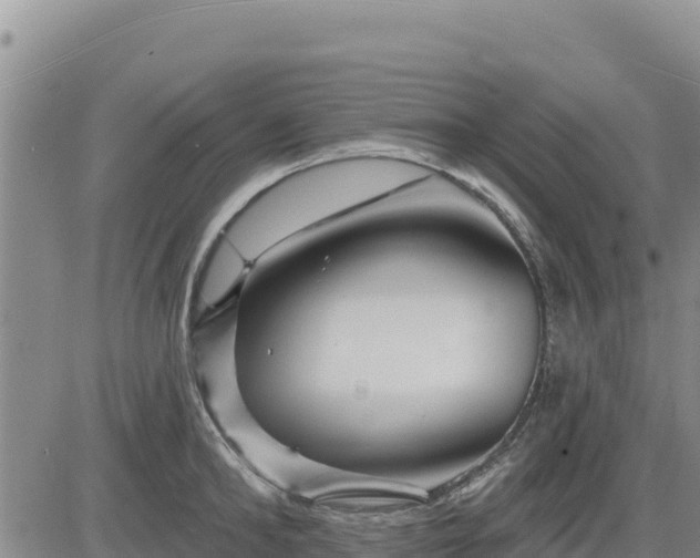 X0000084600902200703021622