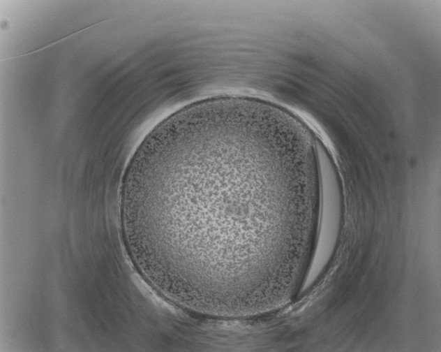 X0000084600903200703021622