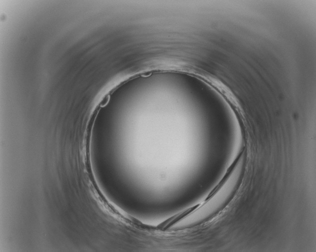 X0000084600904200703021622