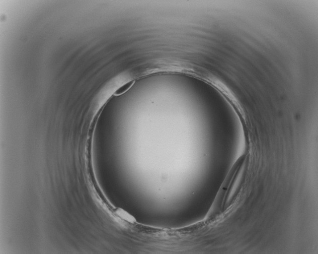 X0000084600906200703021622