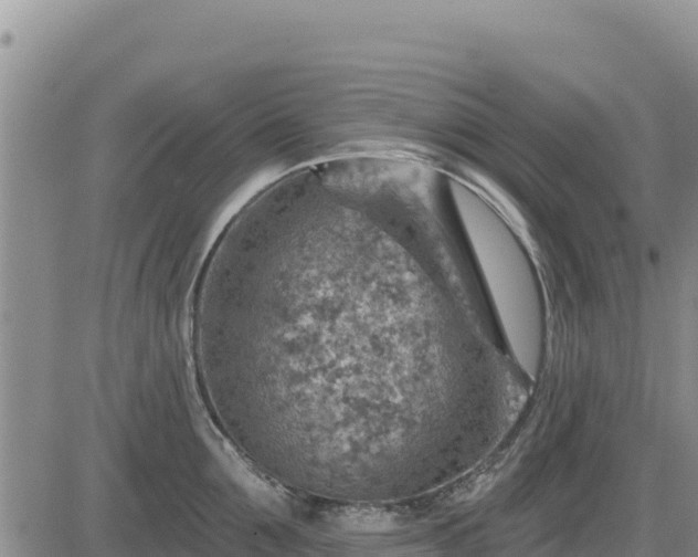 X0000084600907200703021622