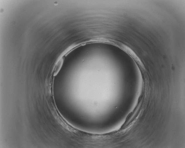 X0000084600908200703021622