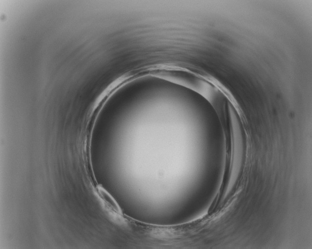 X0000084600909200703021622