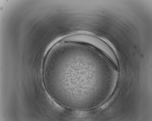 X0000084600910200703021622