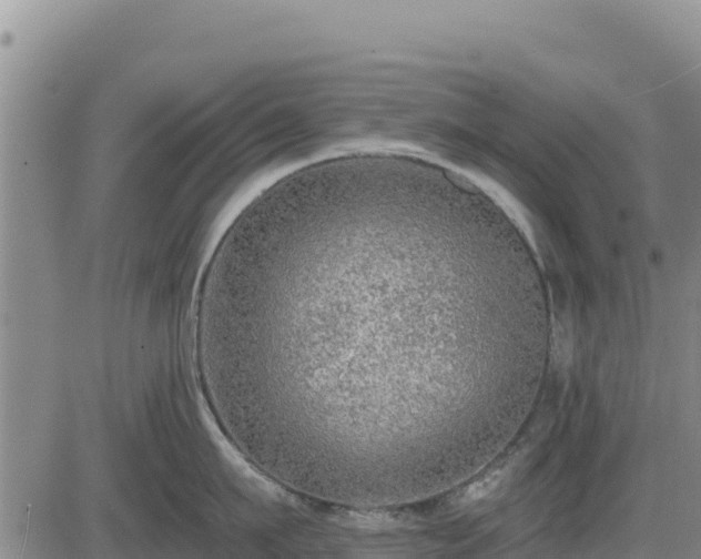 X0000084600911200703021622