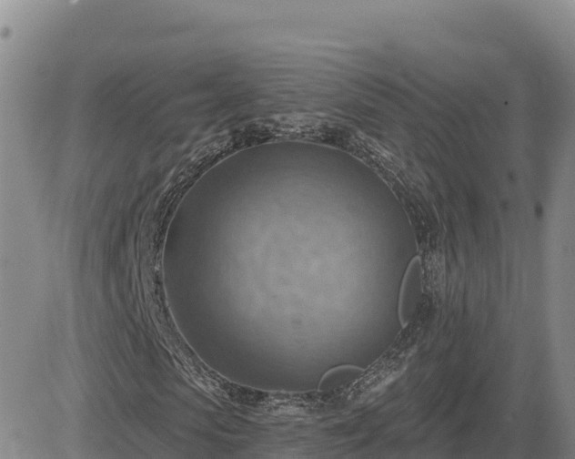 X0000084600913200703021621