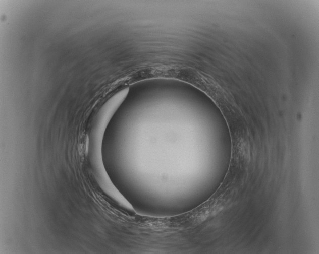 X0000084600914200703021621