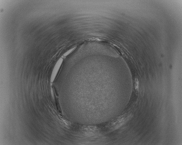 X0000084600915200703021621