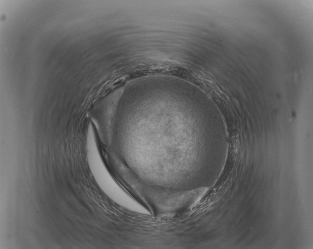 X0000084600916200703021621