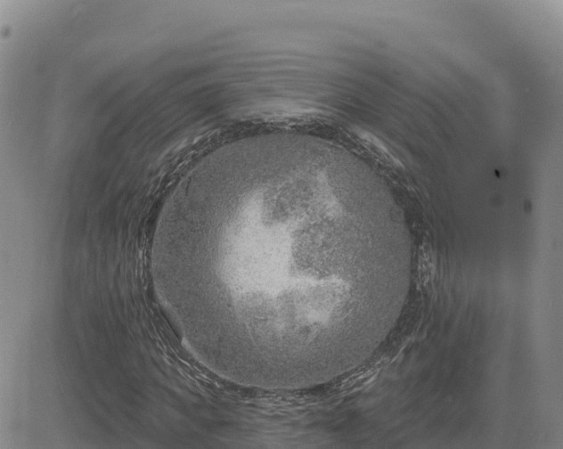 X0000084600917200703021621