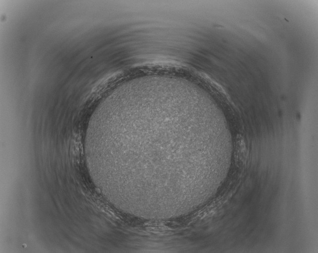 X0000084600918200703021621