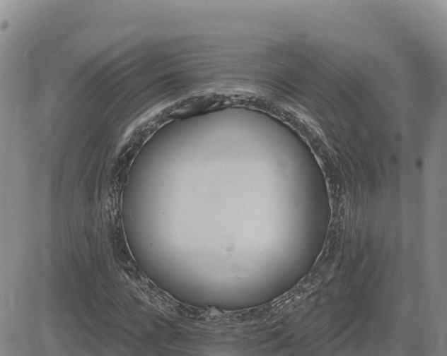 X0000084600920200703021621