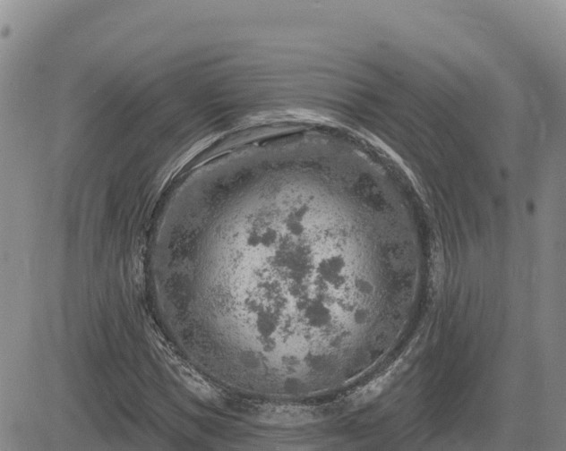 X0000084600921200703021621