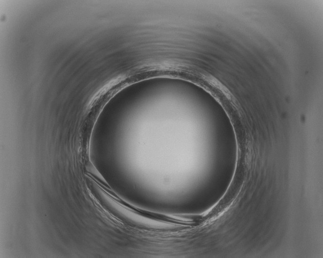 X0000084600922200703021621