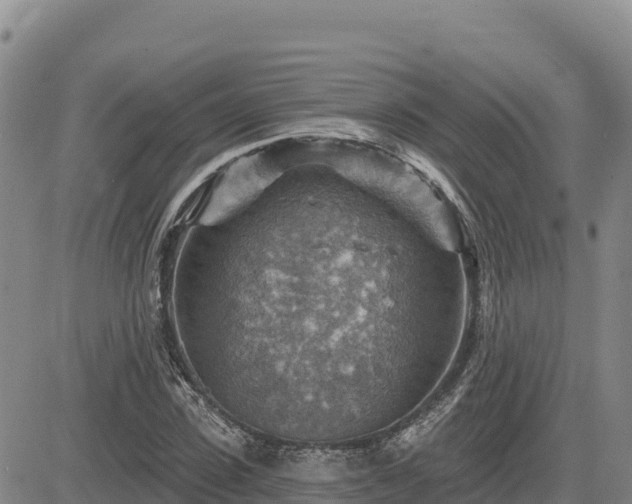 X0000084600923200703021621