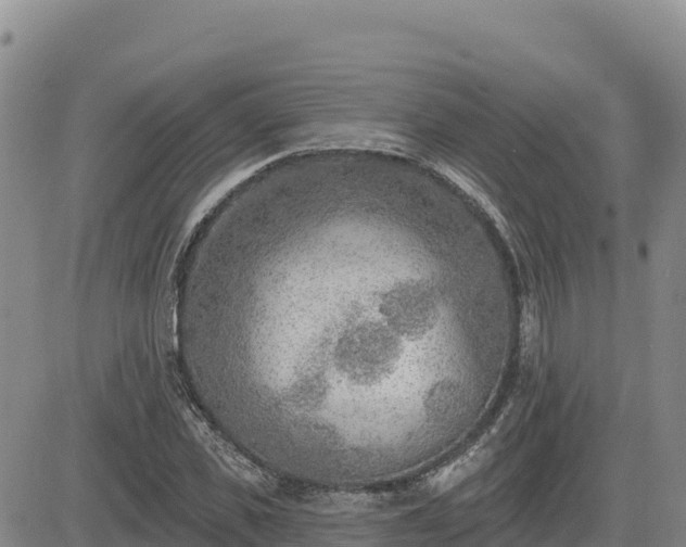 X0000084600925200703021621