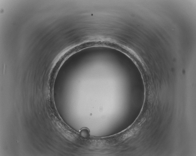 X0000084600927200703021621