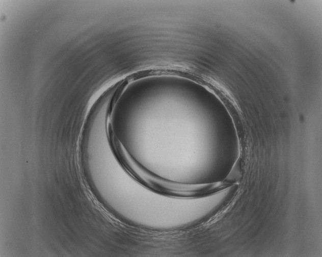 X0000084600928200703021621