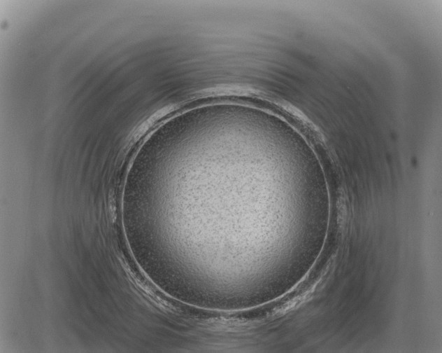 X0000084600929200703021621