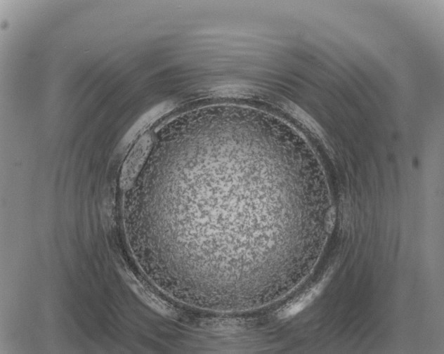 X0000084600930200703021621