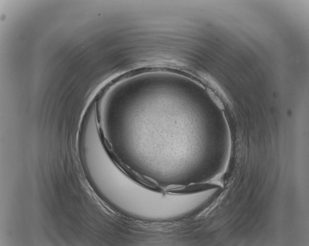 X0000084600932200703021621