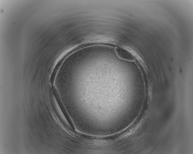 X0000084600933200703021621