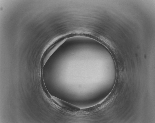 X0000084600934200703021621