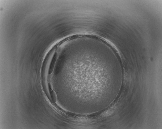 X0000084600935200703021621