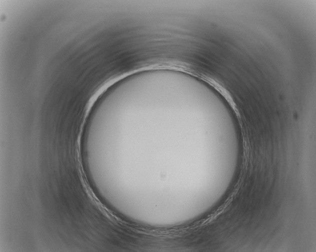 X0000084600936200703021621