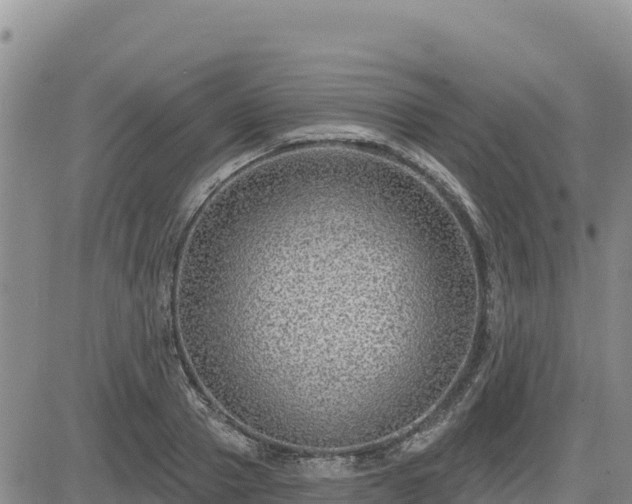 X0000084600937200703021622