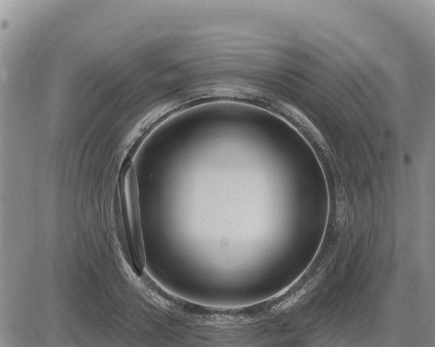 X0000084600938200703021622