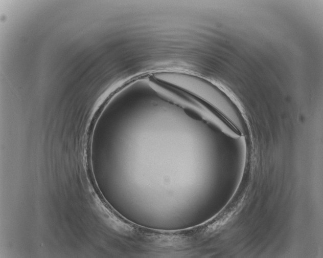 X0000084600941200703021622