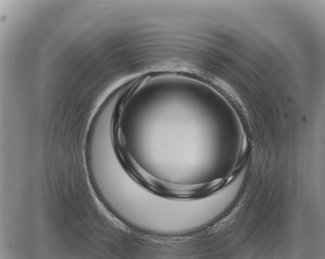 X0000084600942200703021622