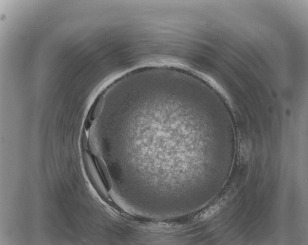 X0000084600943200703021622