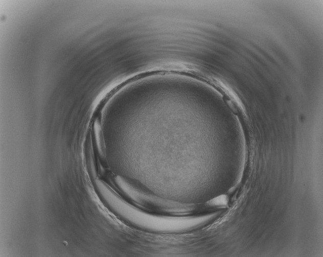 X0000084600944200703021622