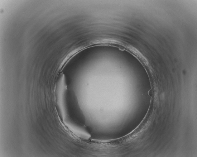 X0000084600945200703021622